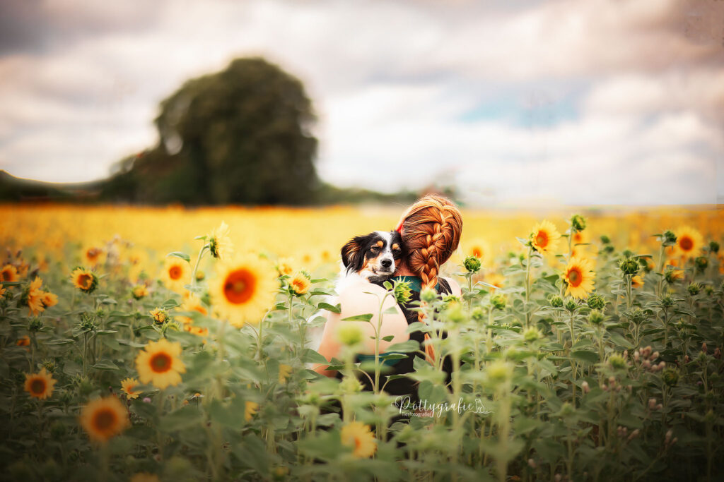 Frau mit Hund im Sonnenblumenfeld