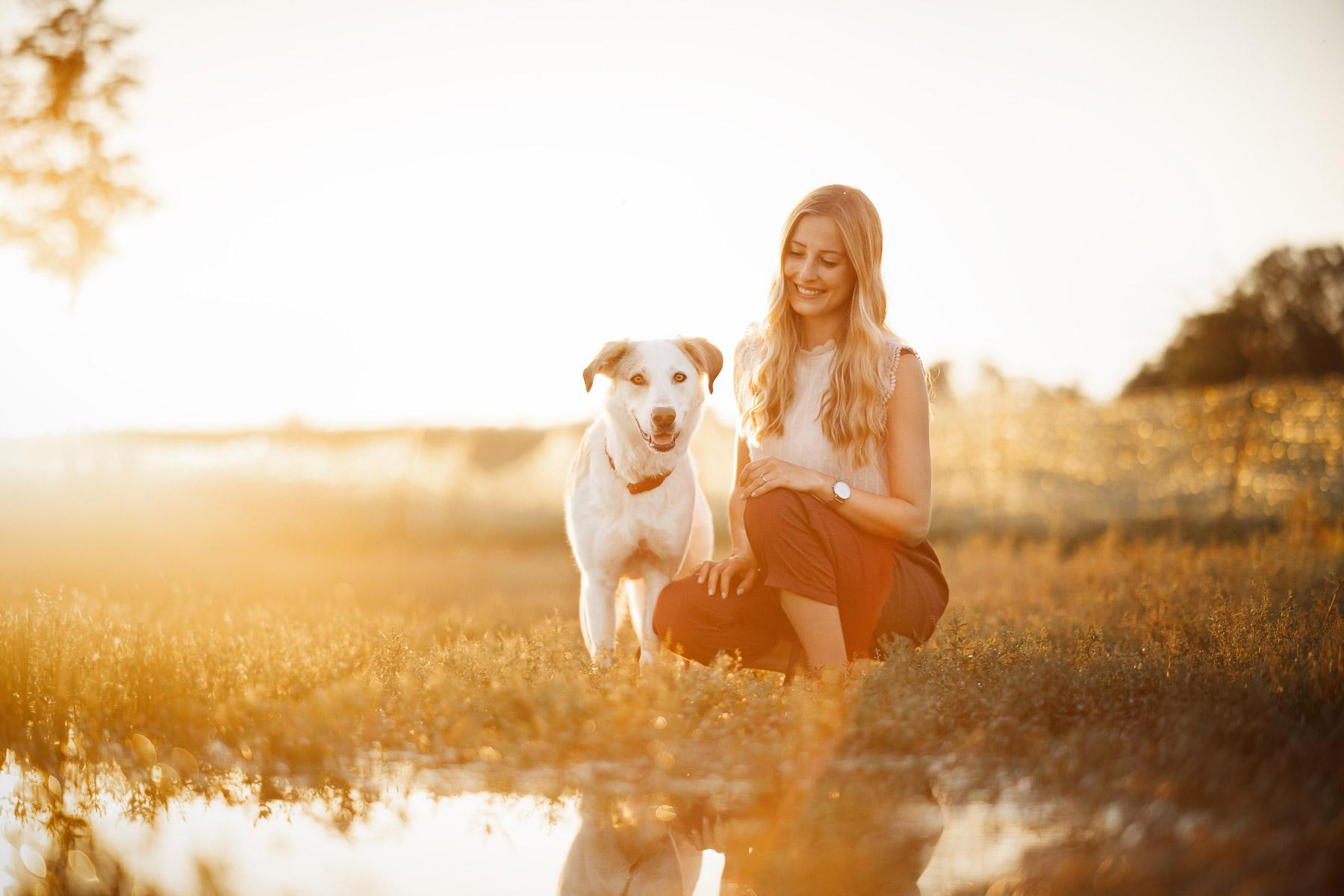 Frau und weißer Hund im goldenen Abendlicht b