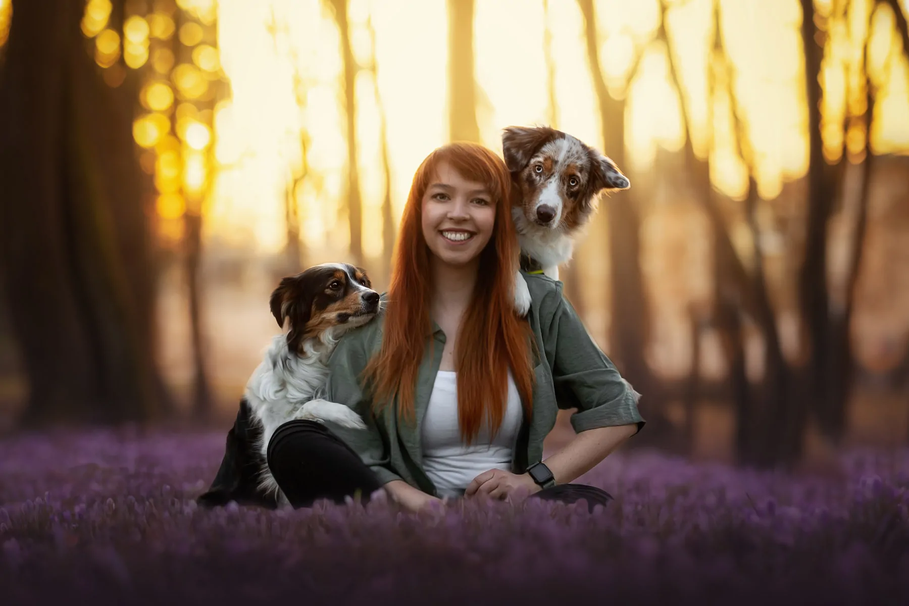 Hundefotografin Pia aus Ingolstadt mit ihren zwei Australian Shepherds Zelda und Peach in einem lilafarbenen Krokuswald