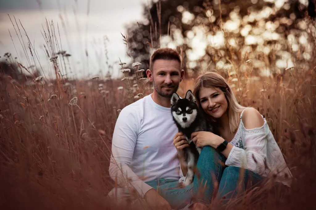Hundefotografie mit Paar und Pomsky im Feld