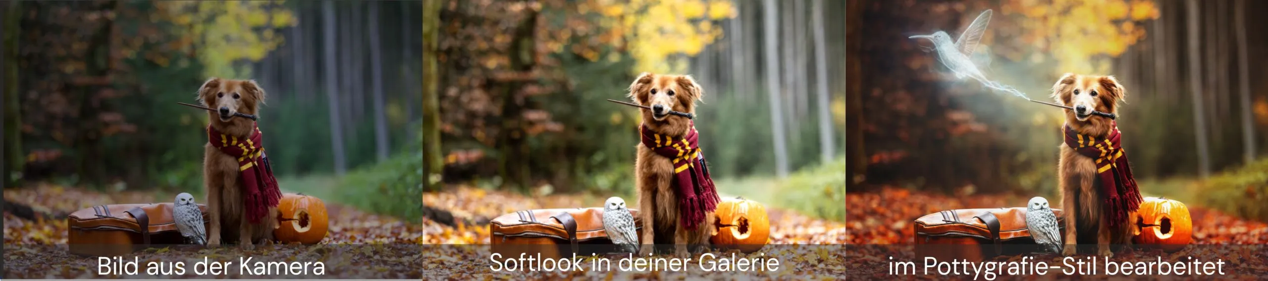 Vergleichen der Bildbearbeitungsstile an einem Herbstbild mit Zauber