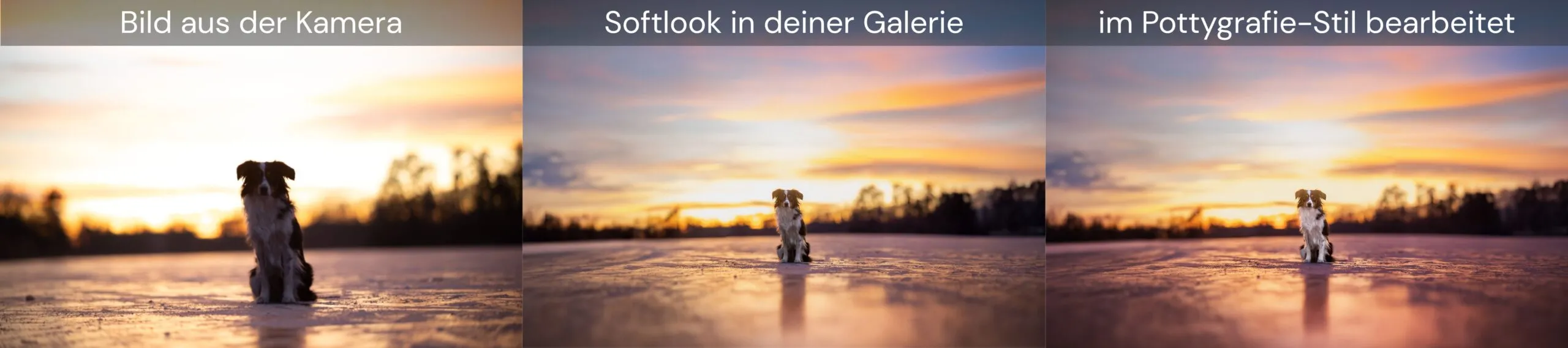 Bildbearbeitungsvergleich von Softlook und im Pottygrafie-Stil auf einem zugefrorenem See